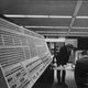 Illustration for article titled The History of Early Computing Machines, from Ancient Times to 1981